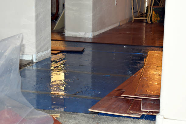 Professional Water Damage Restoration technician working in Gray, ME